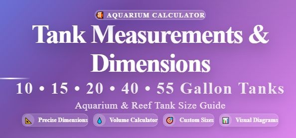 15 gallon tank measurements